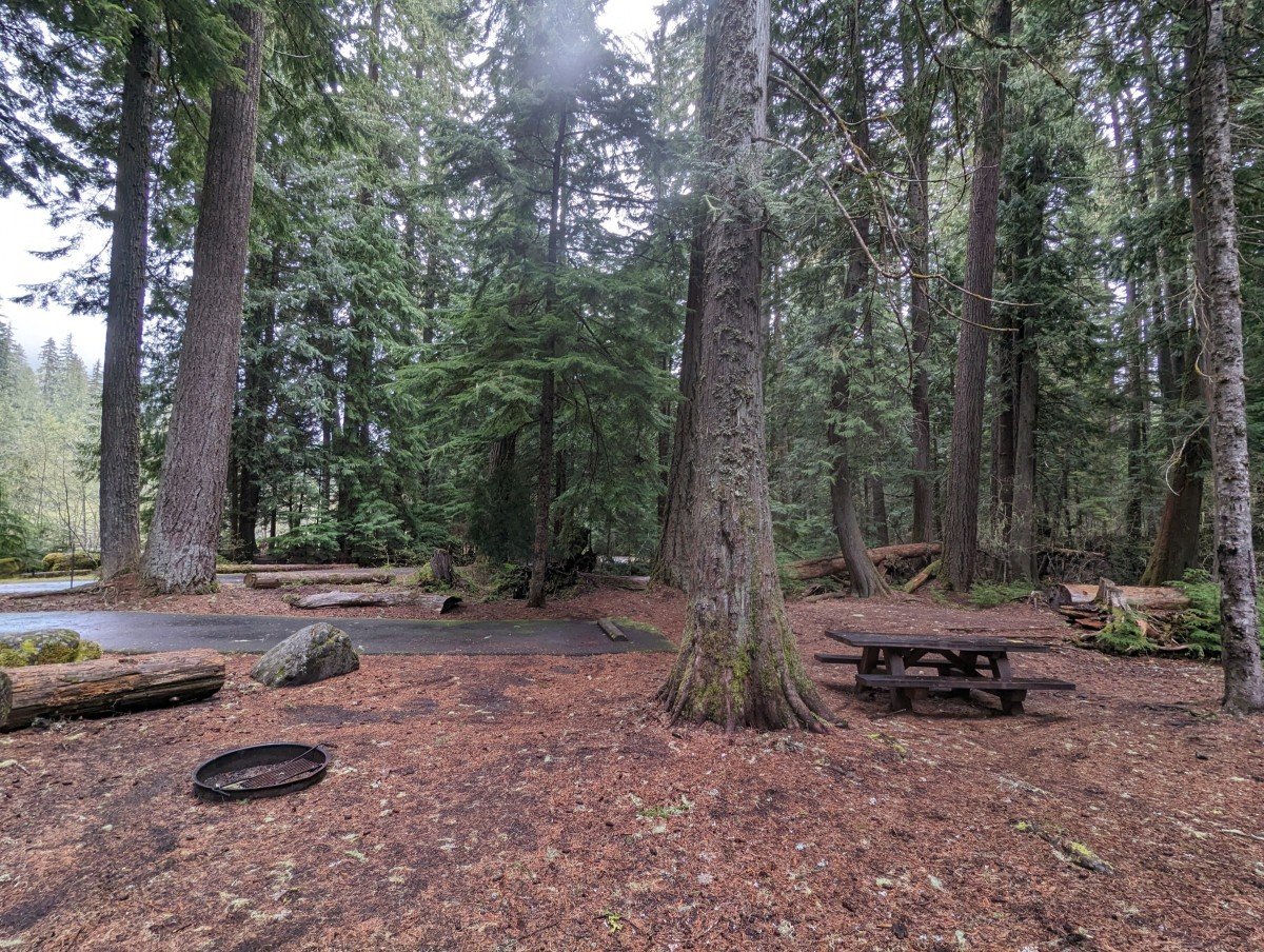 campsite in woods