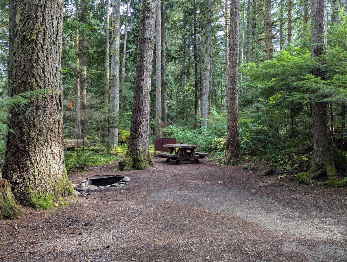 campsite in woods