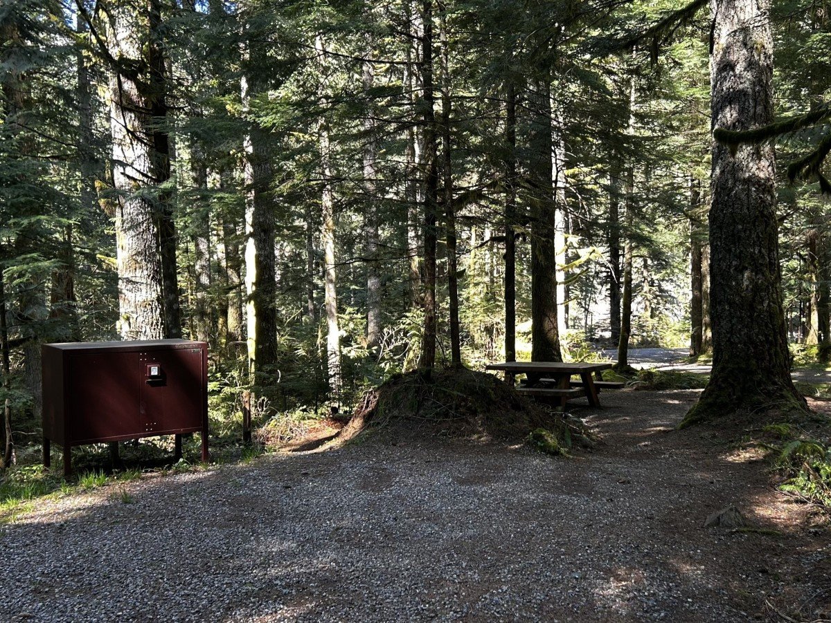 campsite in woods