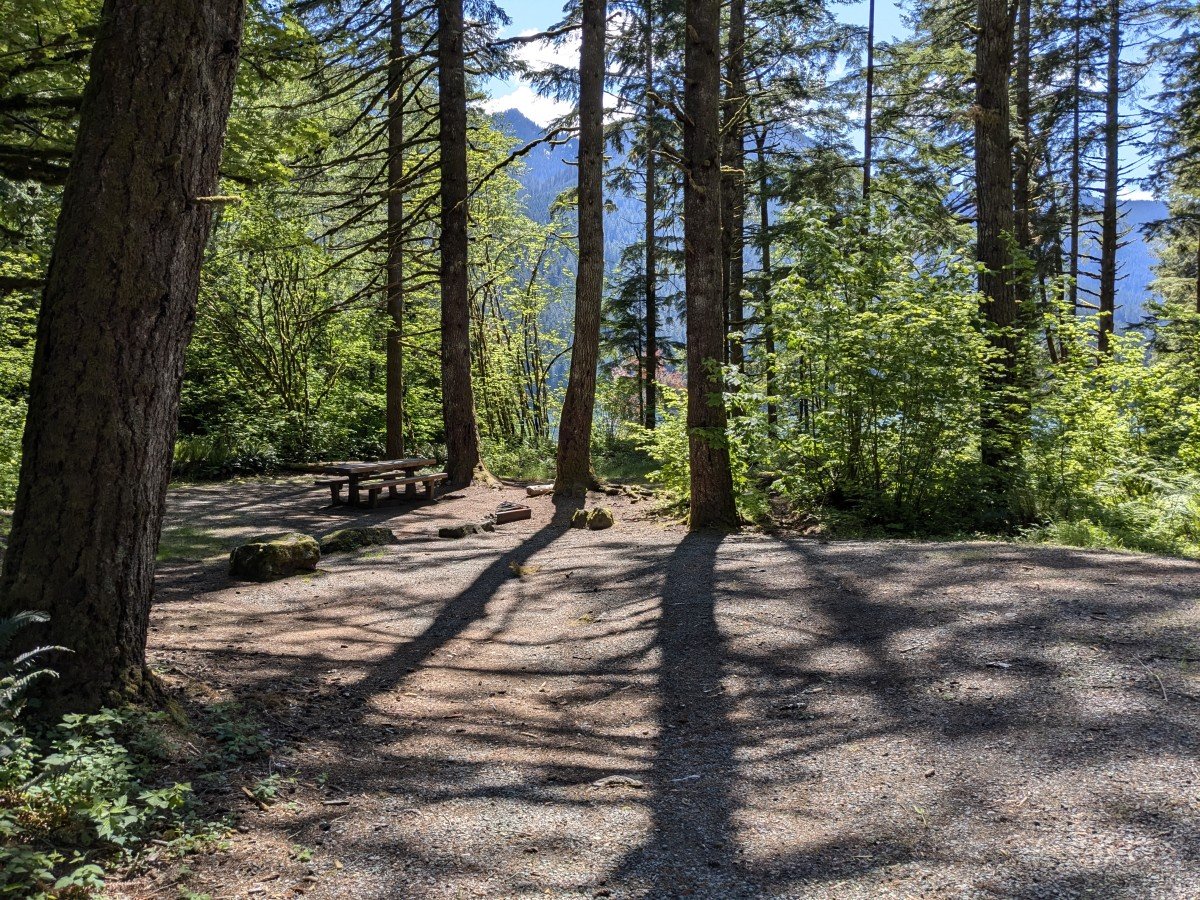 camp spot in woods